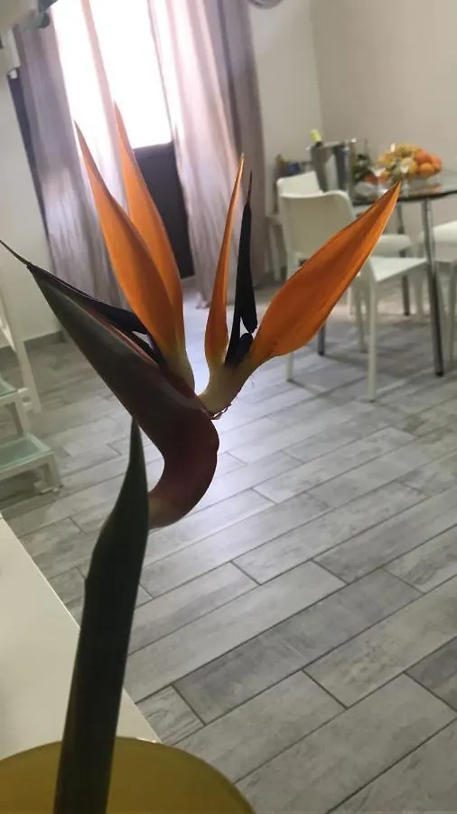 Apartment Via Scuto 0*, Catane Italie